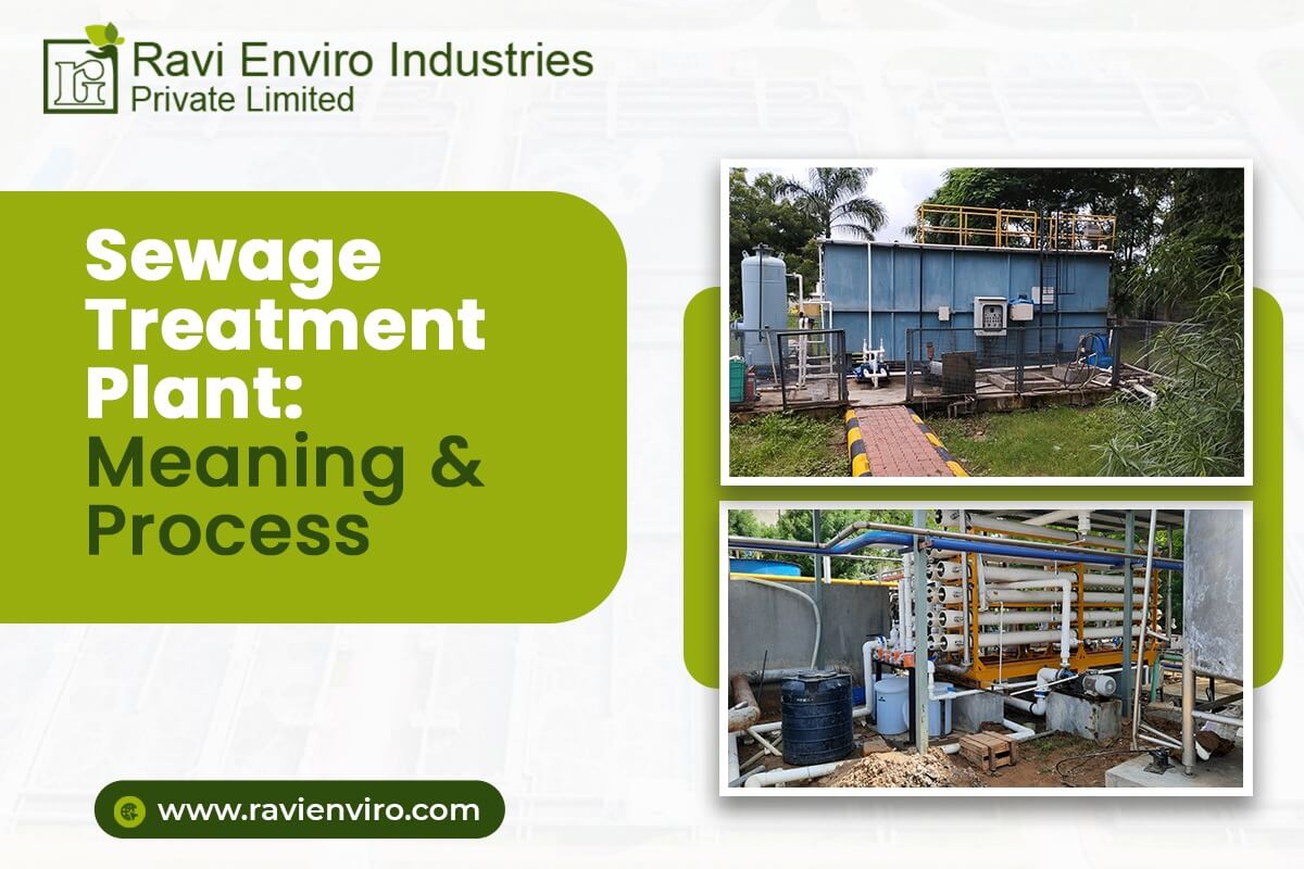 Sewage Treatment Plant (STP) Meaning & Process